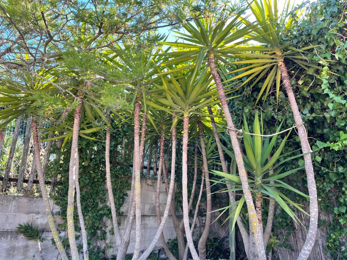 Casa Vacanze SantʼAntìoco מראה חיצוני תמונה